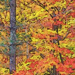 Colored Pencil FAA 08